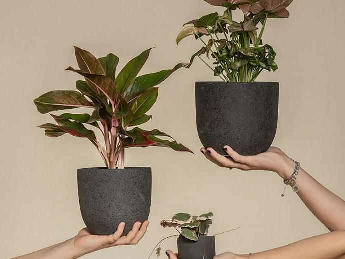 a group of people holding plants in their hands