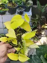 1000195123.webp