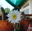 1000195598.webp