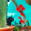 1000195610.webp