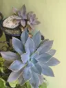 1000204103.webp