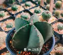 1000210254.webp