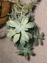 1000193184.webp